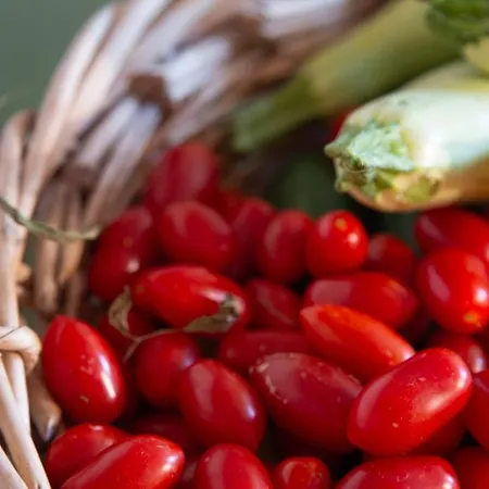 Beachfront Family * Erétria