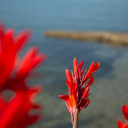 Beachfront Family Villa *